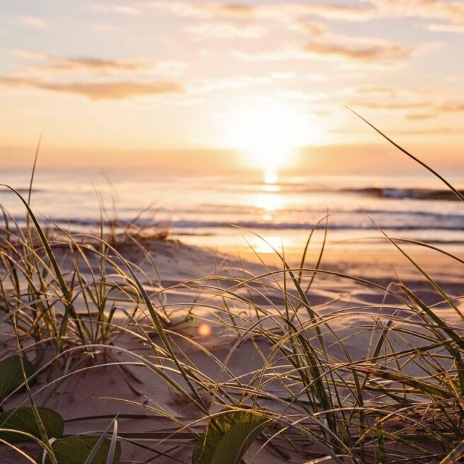 gold coast beach